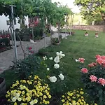 поповата къща 3*