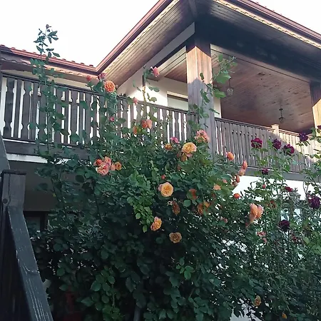 поповата къща Vendégház Krapec