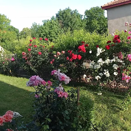 Gasthuis поповата къща 3*