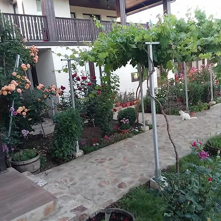 поповата къща בית הארחה 3*