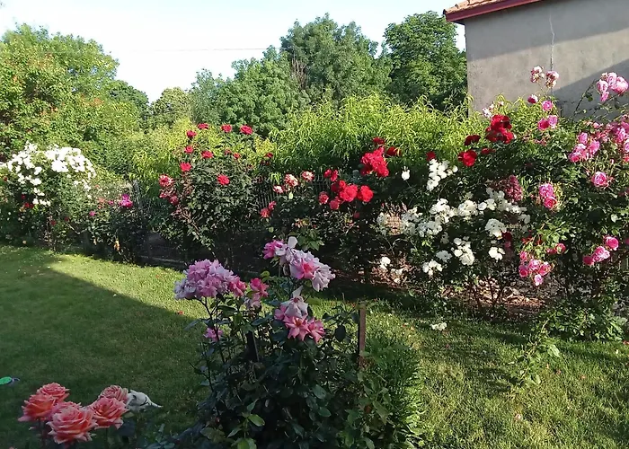 Maison d'hôtes поповата къща 3*